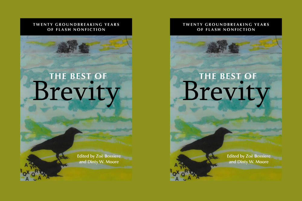 Nonfiction Explosions: THE BEST OF BREVITY - CRAFT